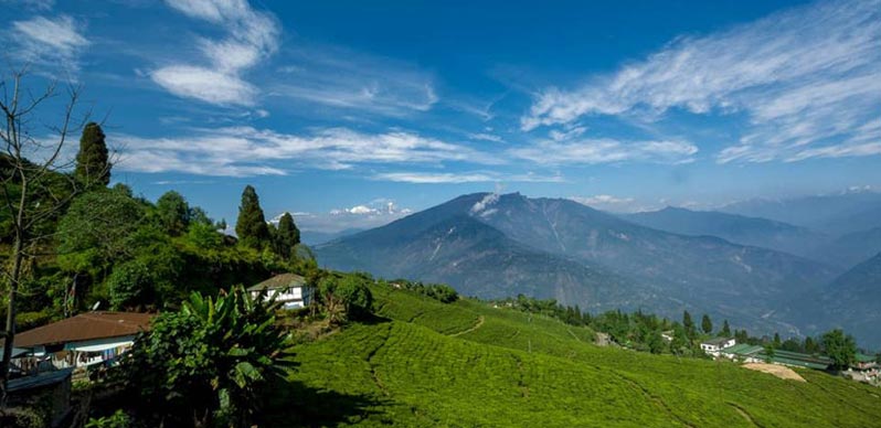 pelling tour packages