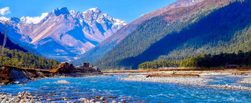 A Complete Guide to Yumthang Valley for a Perfect Trip